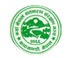 logo nefum